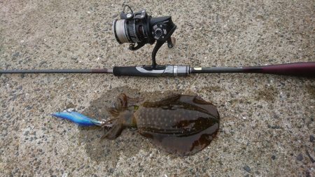 出張でエギング