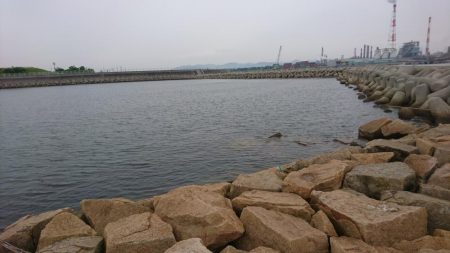 キス釣りなのに早朝アナゴ