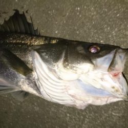 ハラハラドキドキ