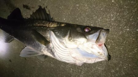 ハラハラドキドキ