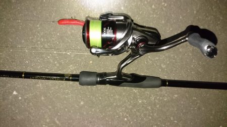 雨後はやっぱりシーバス