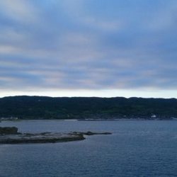 美味しくいただきました。