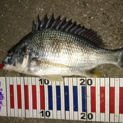 アタリがぁぁぁ~ないぃぃぃ~(´Д`)