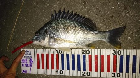 アタリがぁぁぁ~ないぃぃぃ~(´Д`)