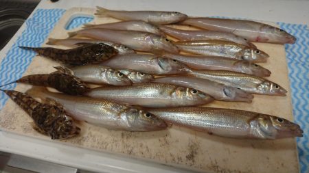 梅雨の晴れ間にキス釣りへ