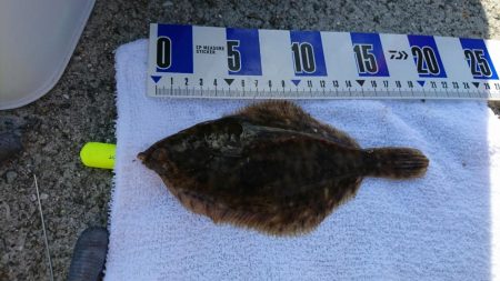 五目釣り、キス釣り