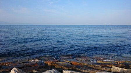 春イカ?釣れたでえ!