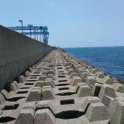 東二見人工島へ釣行しました
