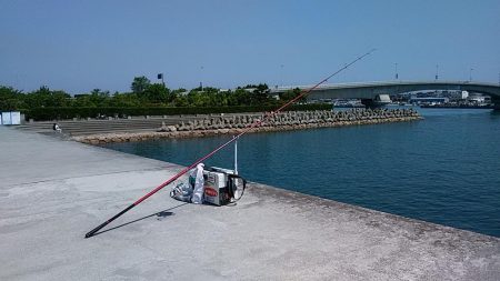 東二見人工島へ連日釣行しました