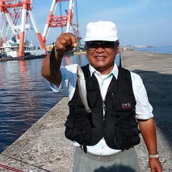 久々の播磨新島で満足釣果