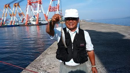 久々の播磨新島で満足釣果