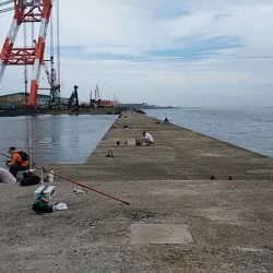 今日も播磨新島でキス狙い