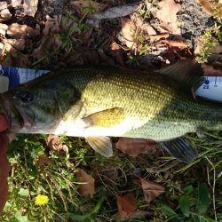 今日もカバー奥にピッタリ