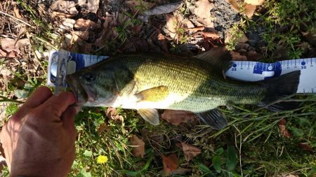 今日もカバー奥にピッタリ