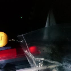 夕まずめ狙いで行って来ました！