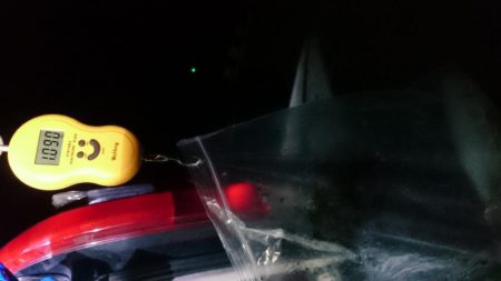 夕まずめ狙いで行って来ました！