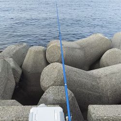 今日も行ってきました！