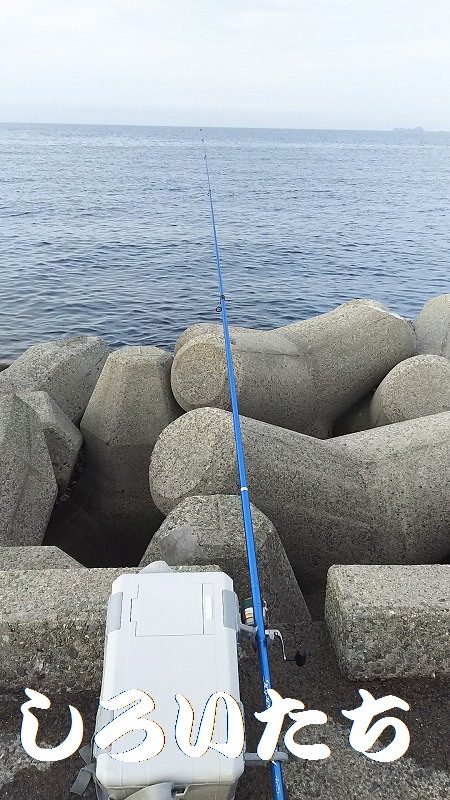 今日も行ってきました！