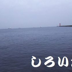ガッシー、移動してキス。