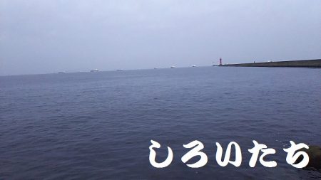 ガッシー、移動してキス。