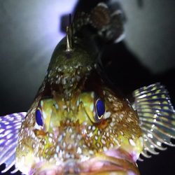 初めての場所。