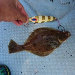 日本海タラジギング