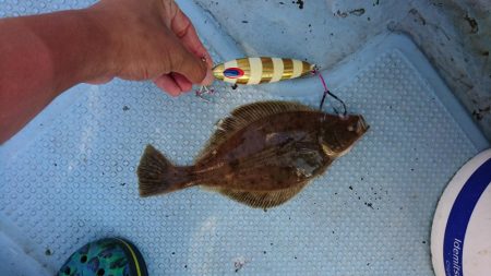 日本海タラジギング