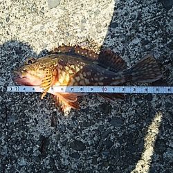 こんなにも違うのか