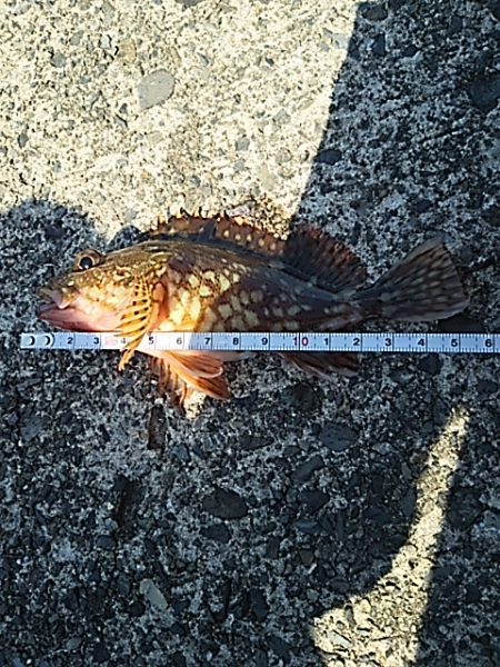 こんなにも違うのか