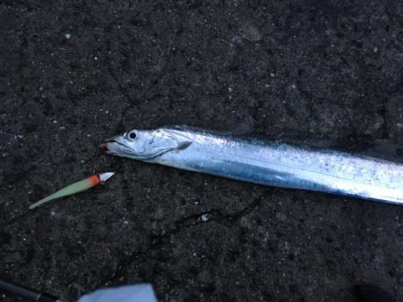 やっぱ師匠はすごいです