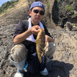 青物つれません