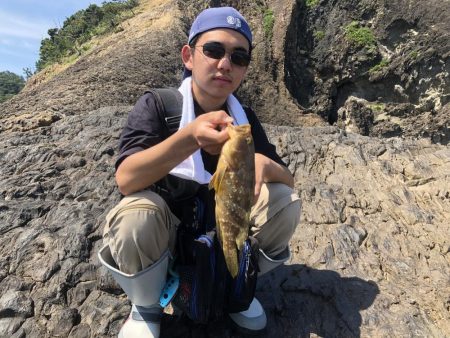 青物つれません