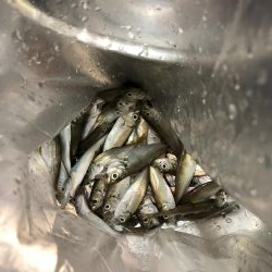 夏の日差しの中