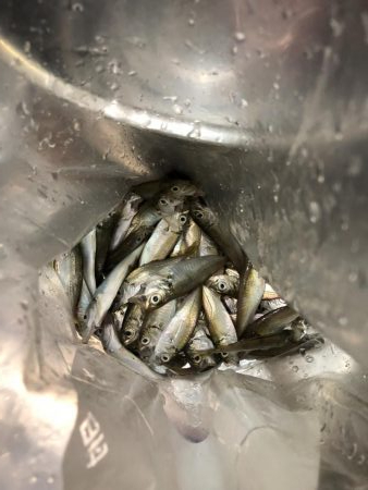 夏の日差しの中