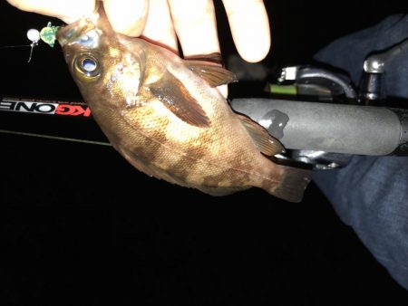 まだまだまだまだメバリング