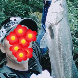 久しぶりのシーバス