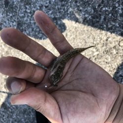 息子と休日釣行