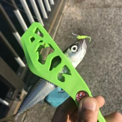 武豊緑地公園のライトゲーム!