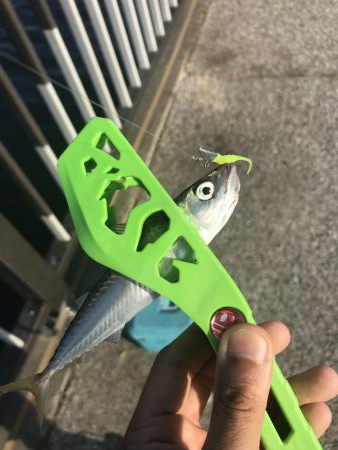 武豊緑地公園のライトゲーム!