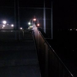 アオイソメが残ったので