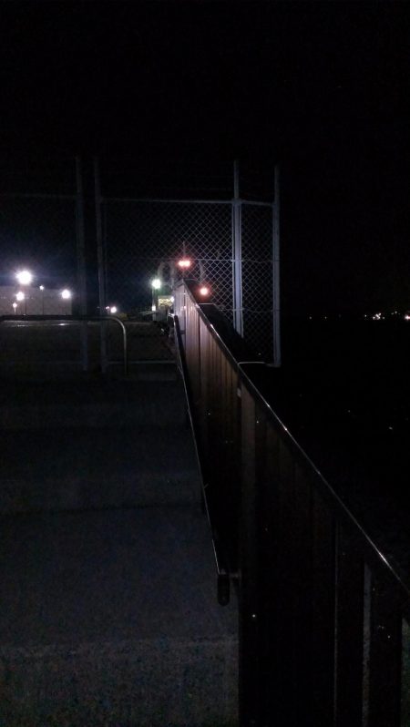 アオイソメが残ったので