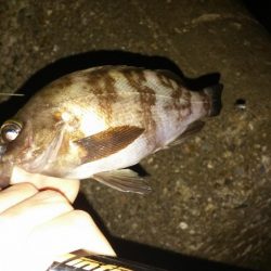 梅雨の晴れ間、爆風！