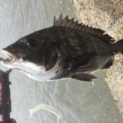 愛媛＆広島　釣り巡り