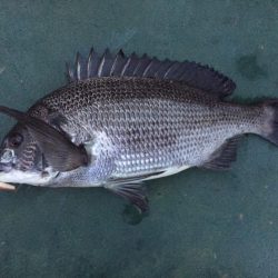 バチパターン初の友人1本＆自分10発w