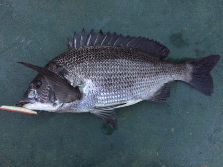 バチパターン初の友人1本＆自分10発w