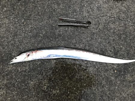 荒れる前にちょっとだけ