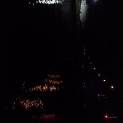 そろそろタケノコ釣りシーズン？