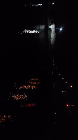 そろそろタケノコ釣りシーズン？