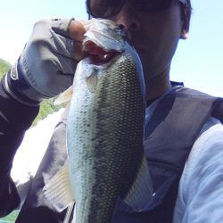 バスは見えますが…