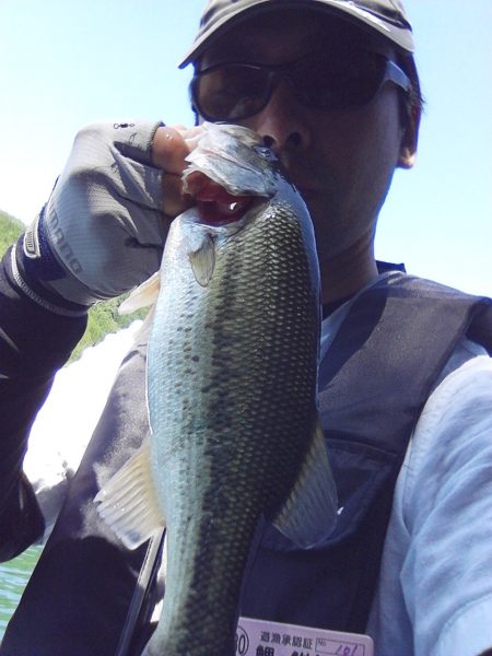 バスは見えますが…